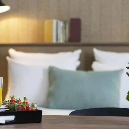 尼斯机场诺富特套房酒店 4*